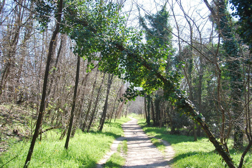 B&B Percorso Verde Ponte Valleceppi Luaran gambar